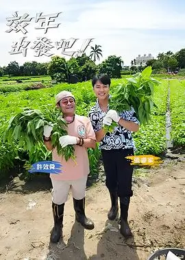 综艺格位示意图 现场与任务结构
